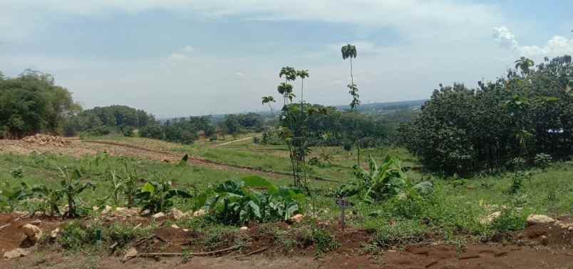 tanah klapanunggal jonggol