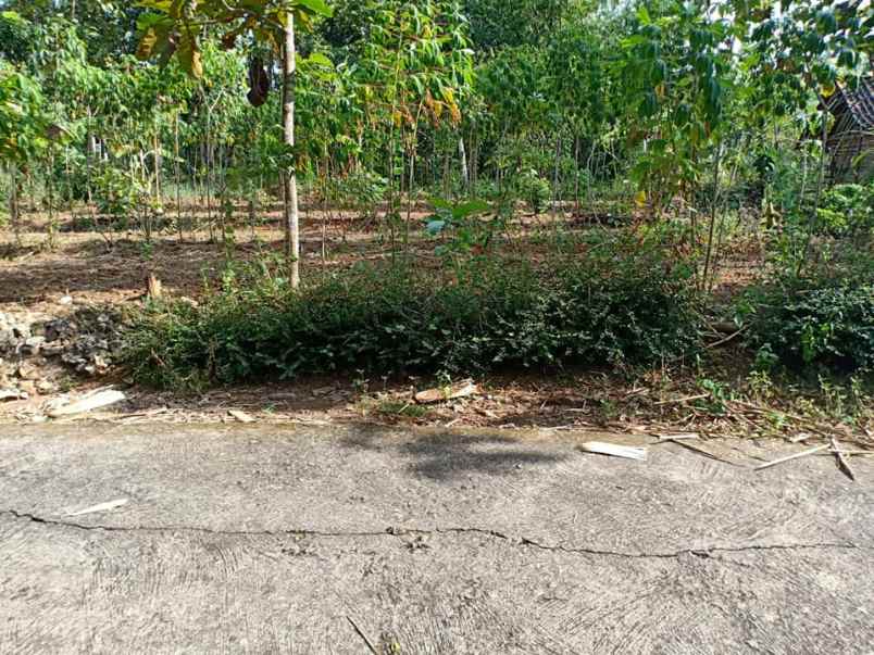 tanah komplek wisata kebun