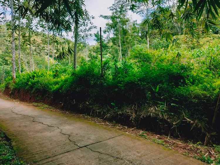 tanah kota karangpandan