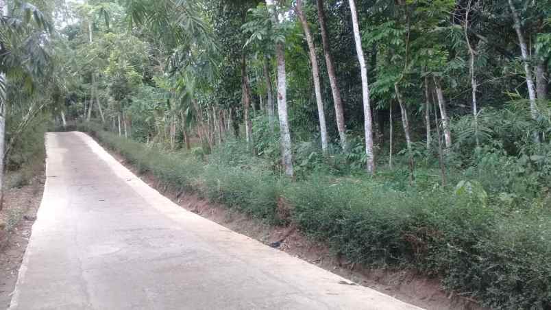 tanah mojogedang karanganyar