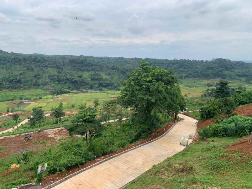 tanah murah seperti dalam lukisan