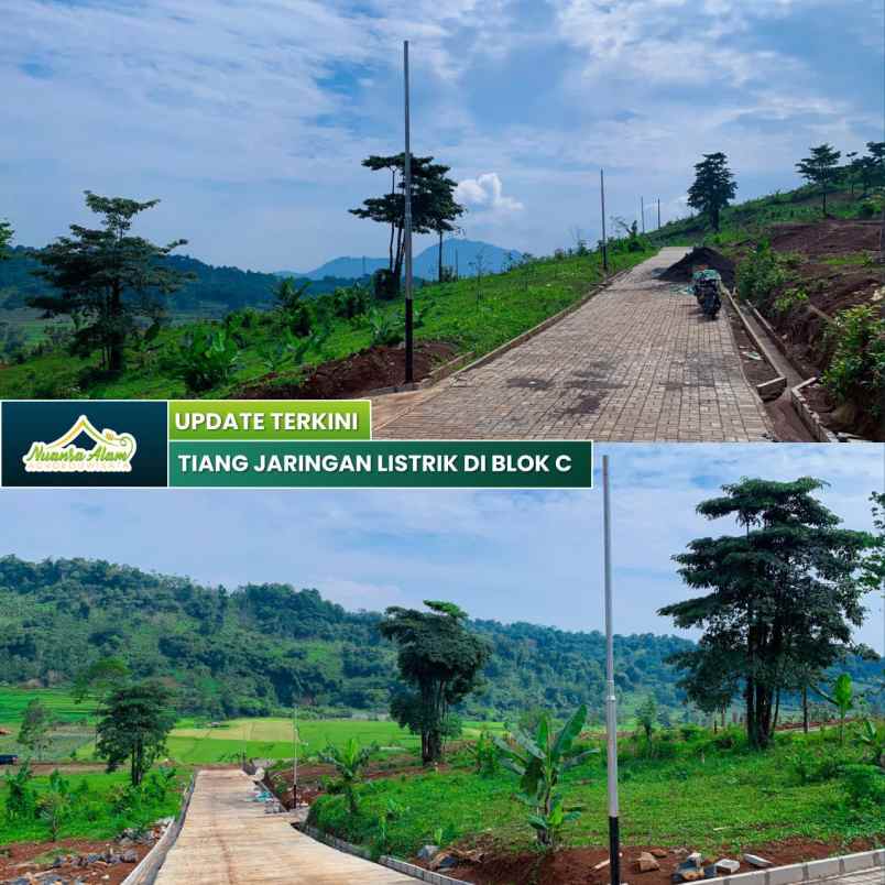 tanah murah seperti dalam lukisan