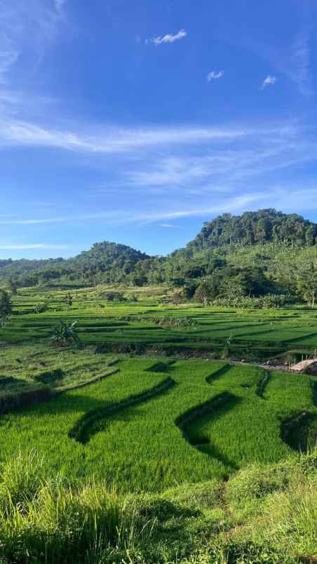 tanah murah seperti dalam lukisan