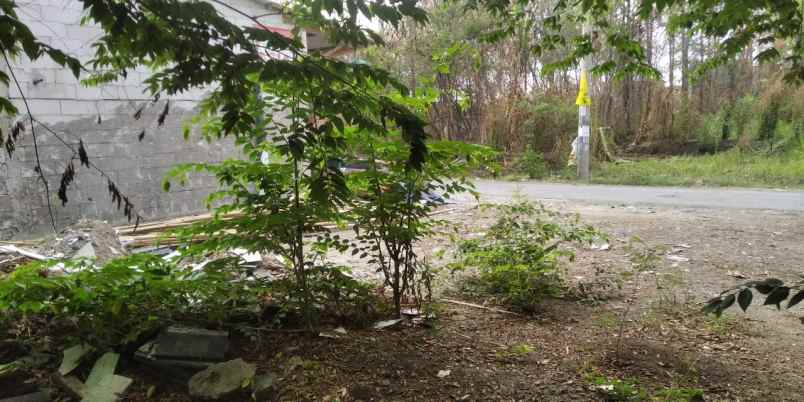 tanah padat dan rata siap bangun