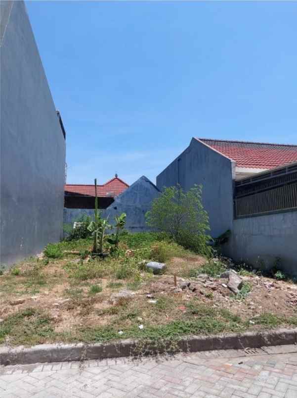 tanah pantai mentari dekat mulyosari ploso lebak dnd