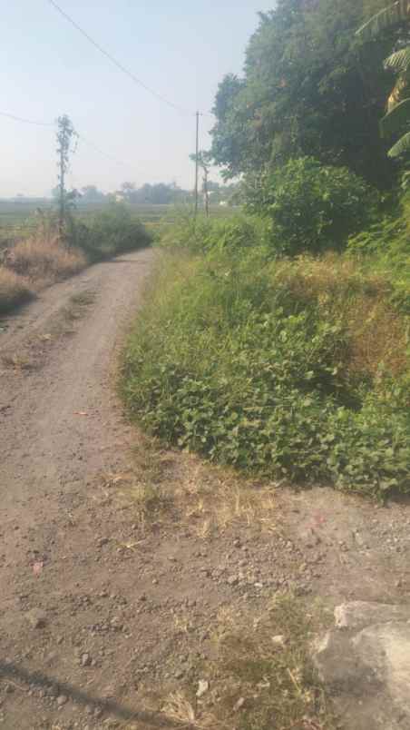 tanah pojok di daerah sidoarjo