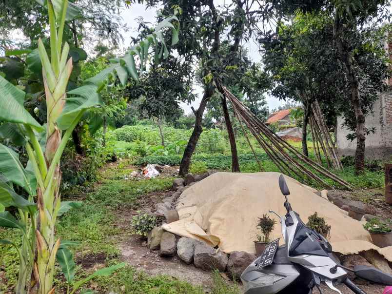 tanah rata dan padat di pemukiman