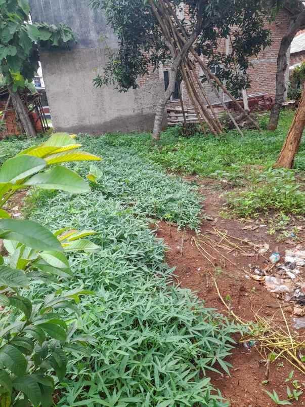 tanah rata dan padat di pemukiman