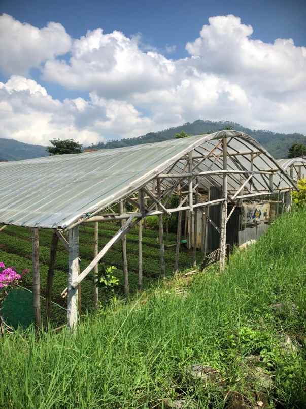 tanah subur strategis super luas murah di kota batu