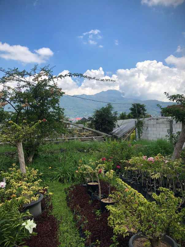 tanah subur strategis super luas murah di kota batu