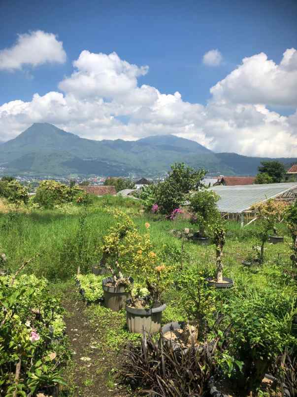 tanah subur strategis super luas murah di kota batu