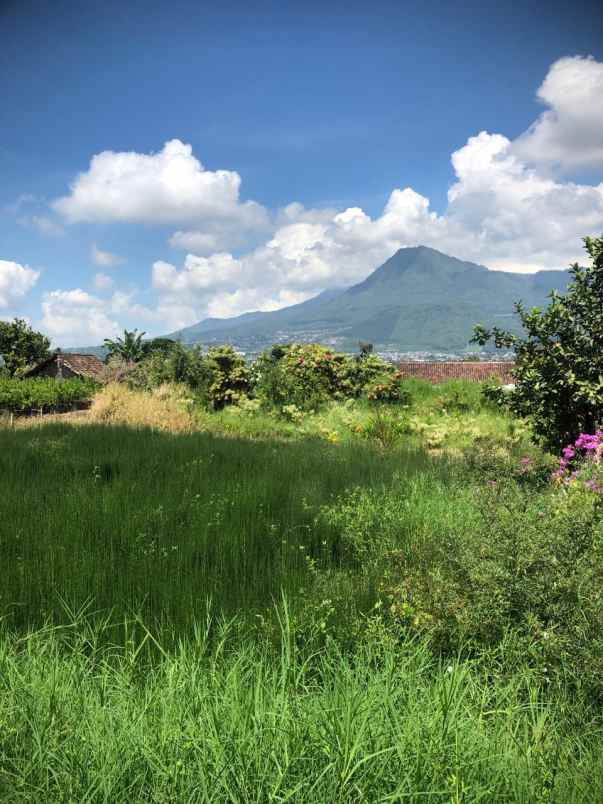 tanah subur strategis super luas murah di kota batu