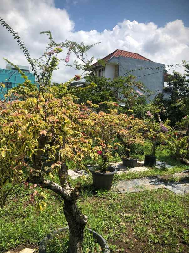 tanah subur strategis super luas murah di kota batu