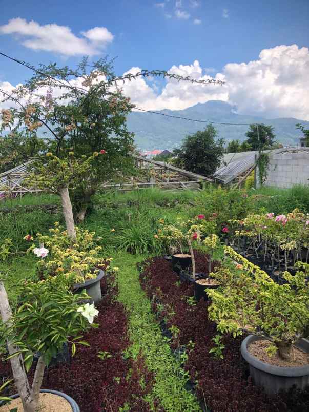 tanah subur strategis super luas murah di kota batu