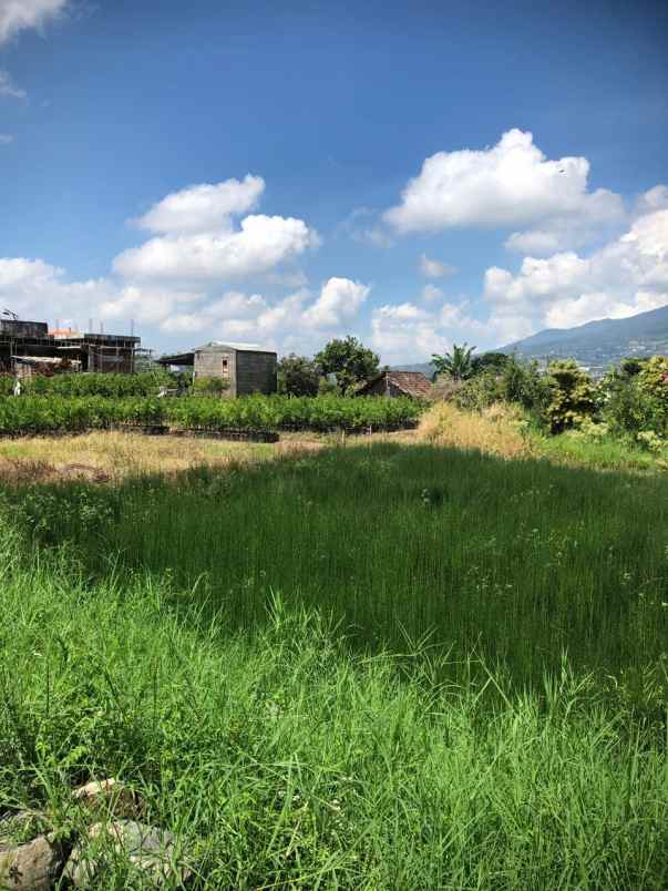 tanah subur strategis super luas murah di kota batu