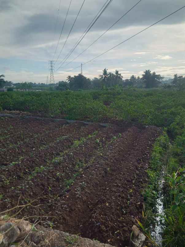 tanah tempat strategis murah