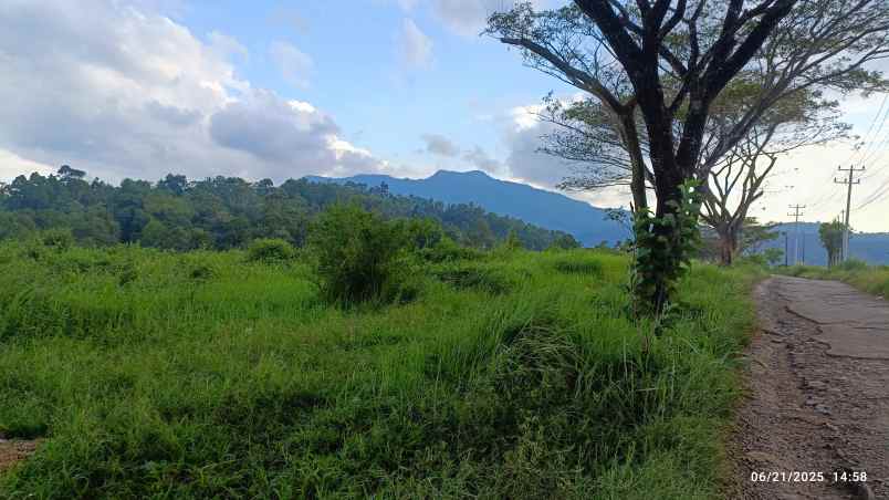 tanah view laut di kemiling luas 4 hektar 40 000m
