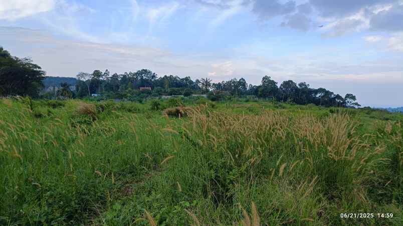 tanah view laut di kemiling luas 4 hektar 40 000m