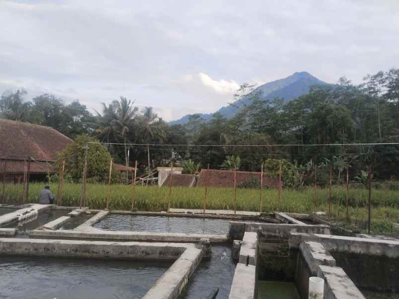 vila kolam deras cisalak subang jawa barat