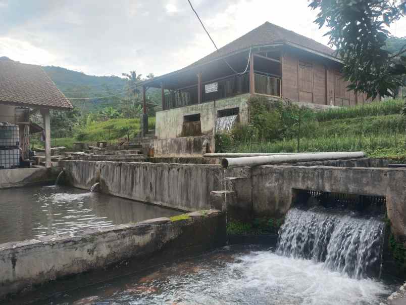 vila kolam deras cisalak subang jawa barat