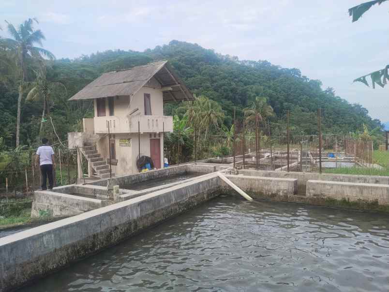 vila kolam deras cisalak subang jawa barat