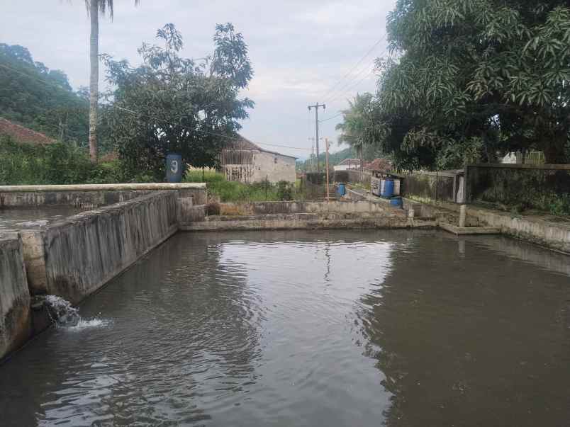 vila kolam deras cisalak subang jawa barat