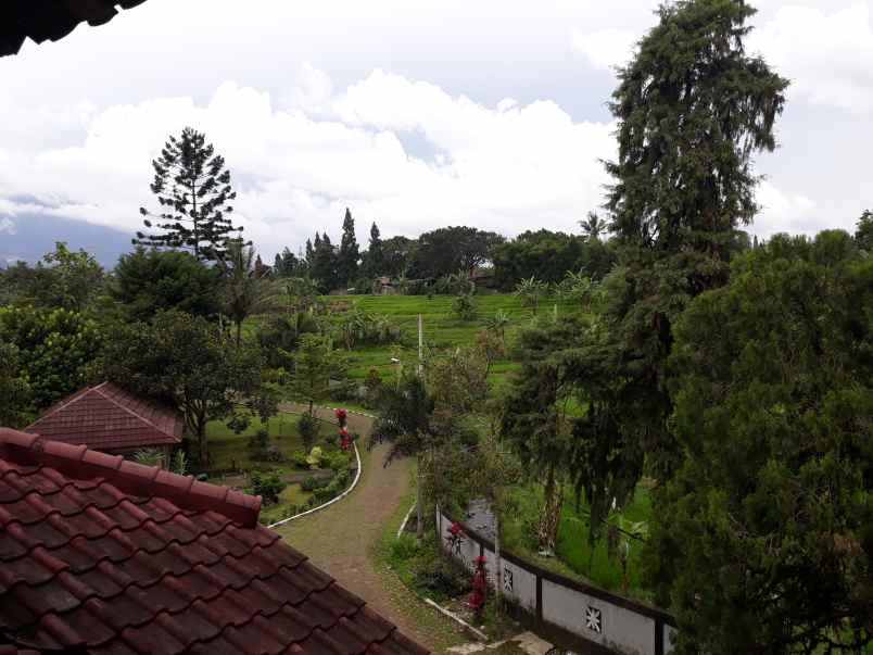 villa alamat jalan cisarua km 80