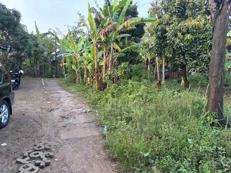 dijual cepat tanah karangbener bae kudus