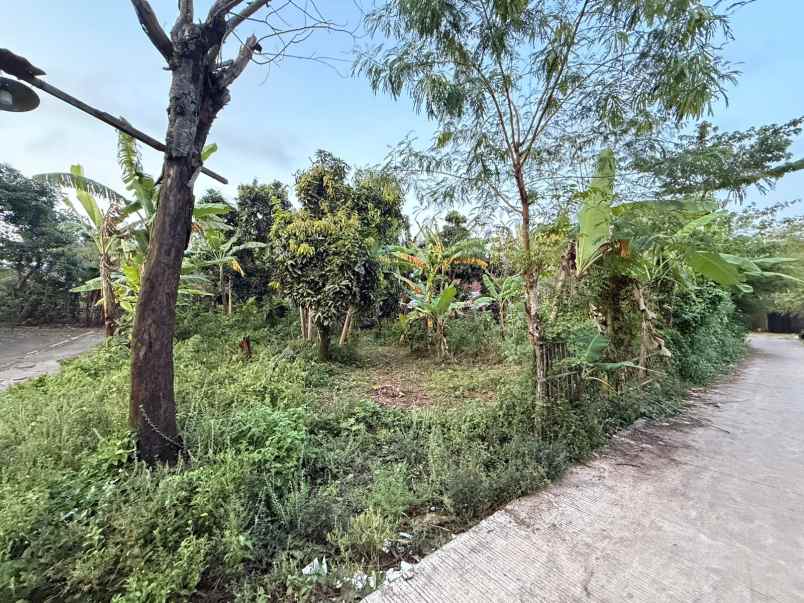 dijual cepat tanah karangbener bae kudus