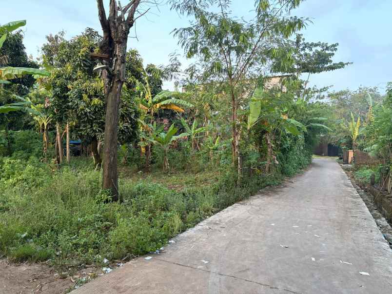 dijual cepat tanah karangbener bae kudus