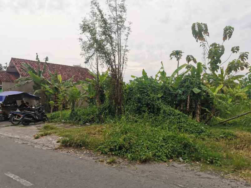 dijual cepat tanah ngasem colomadu karanganyar