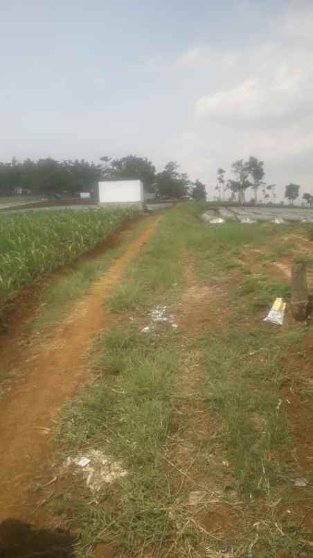 dijual murah lahan cijapati cikancung kab bandung