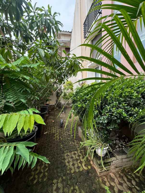 dijual rumah pulomas