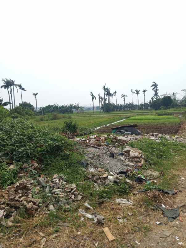 dijual tanah alas tua 12000 m2 poris indah