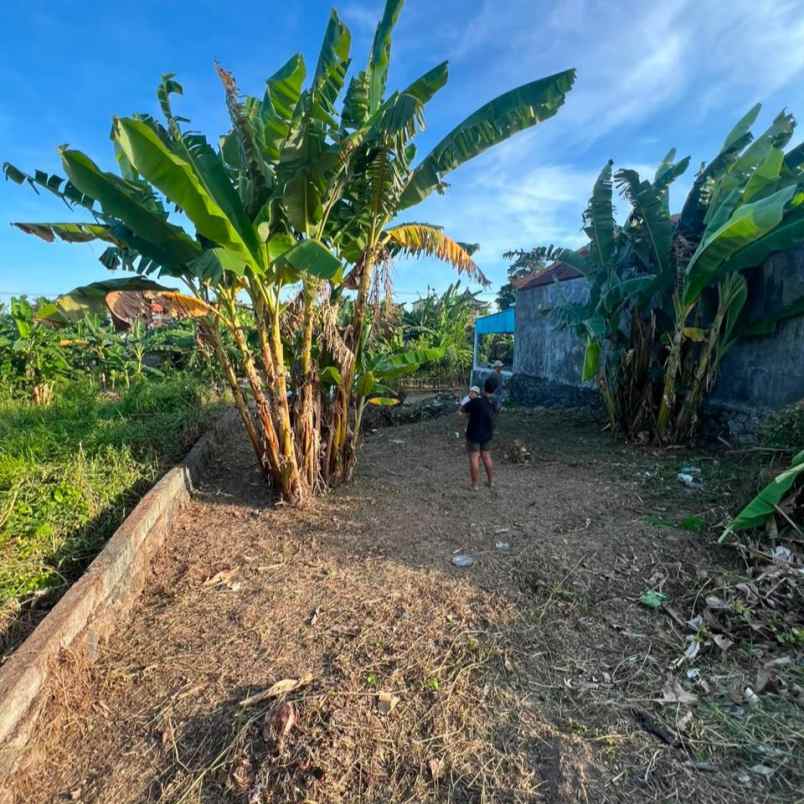 dijual tanah angataka