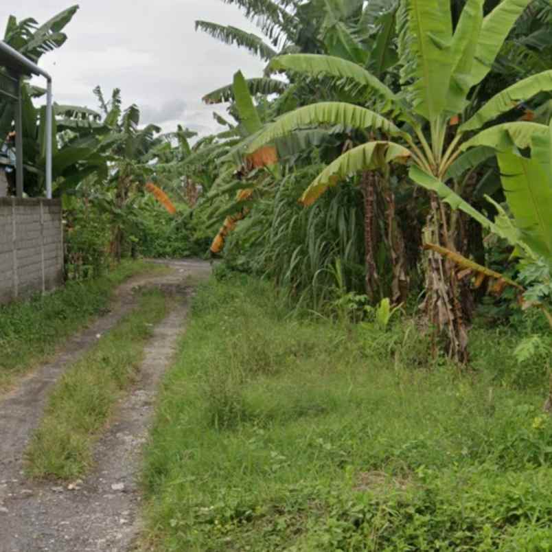 dijual tanah angataka