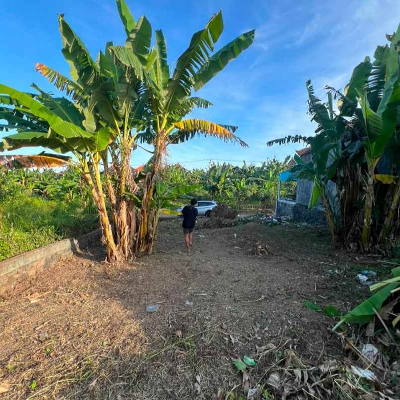 dijual tanah angataka