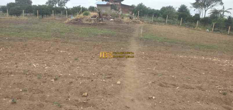 dijual tanah daerah karo jalan kebun