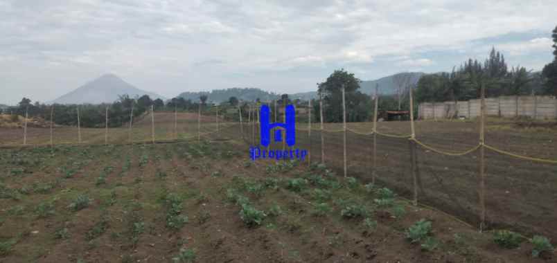 dijual tanah daerah karo jalan kebun