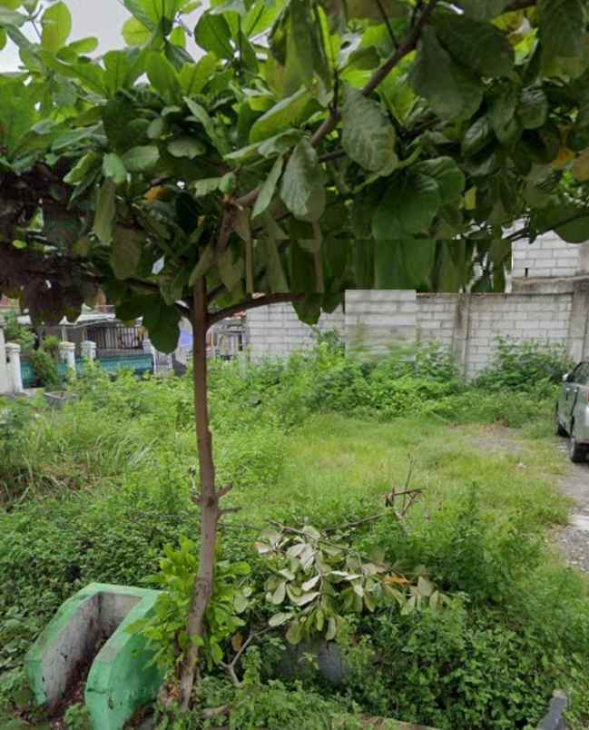 dijual tanah darmo