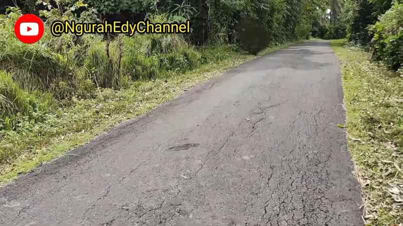 dijual tanah desa bengkel sari