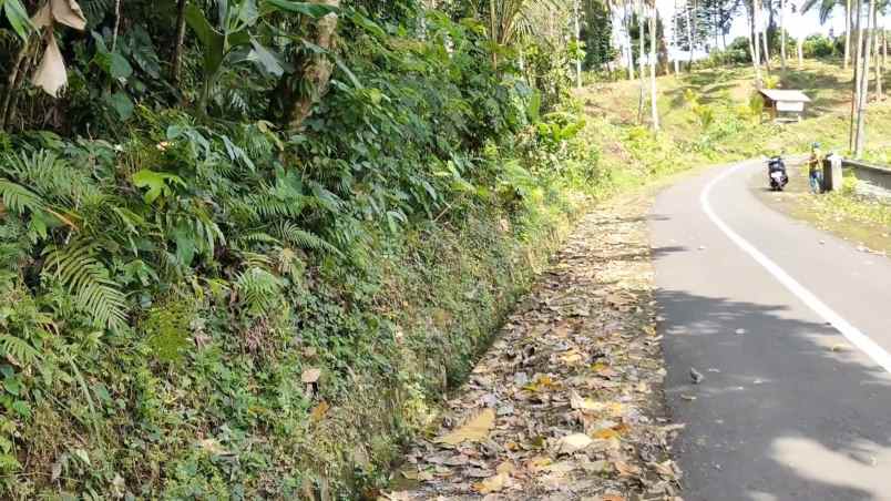 dijual tanah desa wisata gunung salak