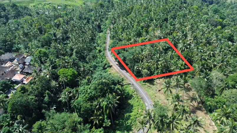 dijual tanah desa wisata gunung salak