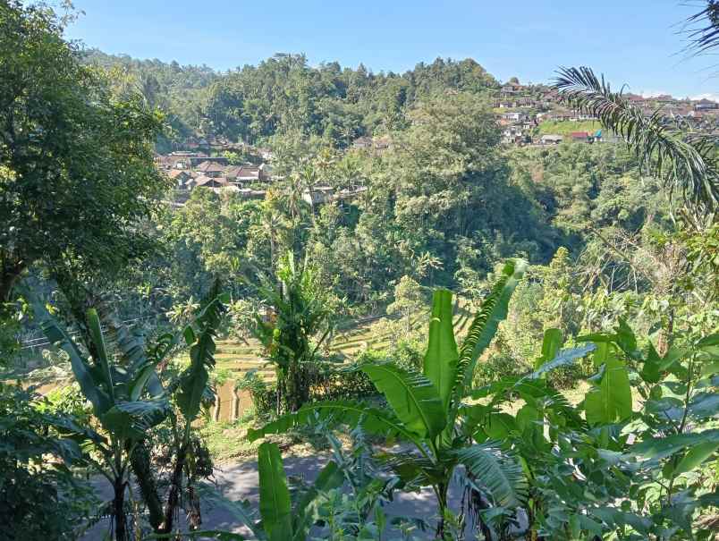 dijual tanah ds sanda kec pupuan