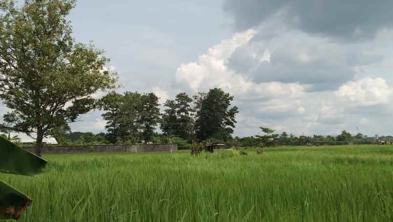 dijual tanah jalan adi sucipto sungai