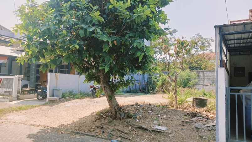 dijual tanah jalan durian banyumanik
