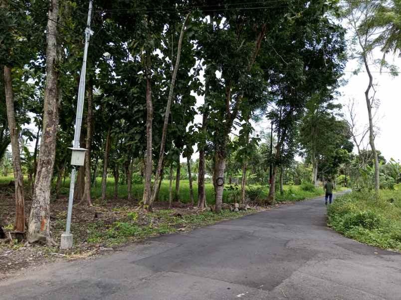 dijual tanah jalan kaliurang