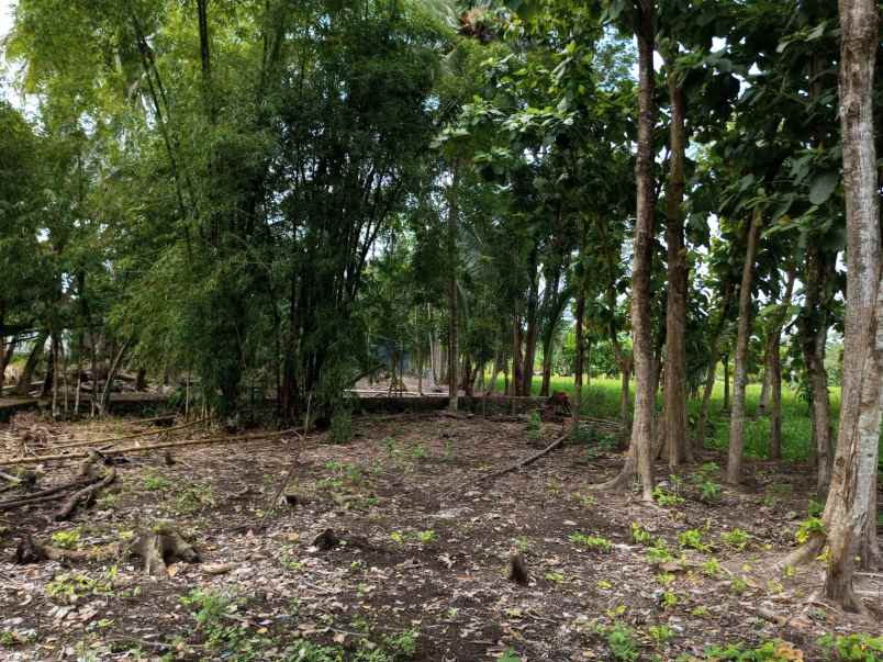 dijual tanah jalan kaliurang