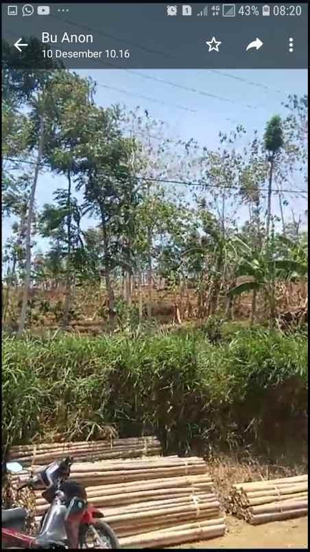 dijual tanah jalan karang sari