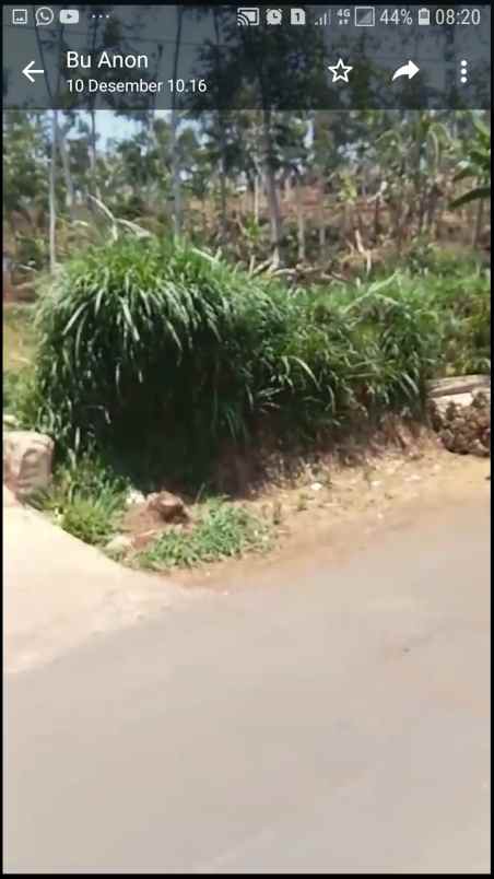 dijual tanah jalan karang sari